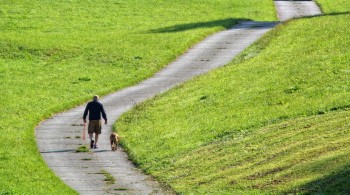 Man and dog walking a path in a park